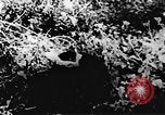 Immagine di Il Viet Cong soldati Il Vietnam, 1967, secondo 46 filmato di repertorio 65675043138