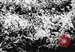 Immagine di Il Viet Cong soldati Il Vietnam, 1967, secondo 47 filmato di repertorio 65675043138