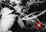 Immagine di Il Viet Cong soldati Il Vietnam, 1967, secondo 51 filmato di repertorio 65675043138