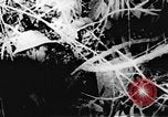 Immagine di Il Viet Cong soldati Il Vietnam, 1967, secondo 52 filmato di repertorio 65675043138