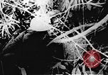 Immagine di Il Viet Cong soldati Il Vietnam, 1967, secondo 53 filmato di repertorio 65675043138