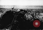 Immagine di Il Viet Cong soldati Il Vietnam, 1967, secondo 58 filmato di repertorio 65675043138