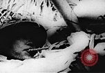 Immagine di Il Viet Cong soldati Il Vietnam, 1967, secondo 23 filmato di repertorio 65675043139