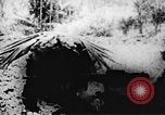 Immagine di Il Viet Cong soldati Il Vietnam, 1967, secondo 24 filmato di repertorio 65675043139