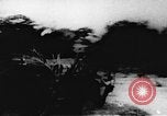 Immagine di Il Viet Cong soldati Il Vietnam, 1967, secondo 29 filmato di repertorio 65675043139