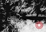 Immagine di Il Viet Cong soldati Il Vietnam, 1967, secondo 56 filmato di repertorio 65675043139