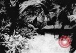 Immagine di Il Viet Cong soldati Il Vietnam, 1967, secondo 58 filmato di repertorio 65675043139