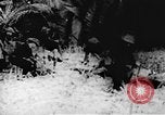 Immagine di Il Viet Cong soldati Il Vietnam, 1967, secondo 13 filmato di repertorio 65675043140