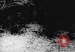 Immagine di Il Viet Cong soldati Il Vietnam, 1967, secondo 14 filmato di repertorio 65675043140