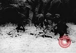 Immagine di Il Viet Cong soldati Il Vietnam, 1967, secondo 17 filmato di repertorio 65675043140