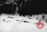 Immagine di Il Viet Cong soldati Il Vietnam, 1967, secondo 19 filmato di repertorio 65675043140