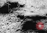 Immagine di Il Viet Cong soldati Il Vietnam, 1967, secondo 22 filmato di repertorio 65675043140