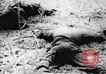 Immagine di Il Viet Cong soldati Il Vietnam, 1967, secondo 23 filmato di repertorio 65675043140