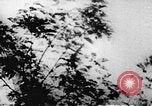 Immagine di Il Viet Cong soldati Il Vietnam, 1967, secondo 27 filmato di repertorio 65675043140