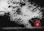Immagine di Il Viet Cong soldati Il Vietnam, 1967, secondo 32 filmato di repertorio 65675043140