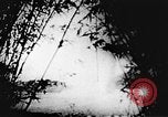 Immagine di Il Viet Cong soldati Il Vietnam, 1967, secondo 39 filmato di repertorio 65675043140