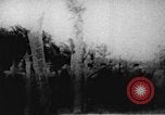 Image of Viet Cong soldiers Vietnam, 1967, second 9 stock footage video 65675043141