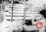 Image of Viet Cong soldiers Vietnam, 1967, second 45 stock footage video 65675043141