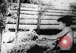 Image of Viet Cong soldiers Vietnam, 1967, second 46 stock footage video 65675043141