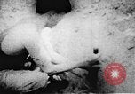 Image of Viet Cong soldiers Vietnam, 1967, second 4 stock footage video 65675043142