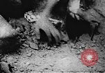 Image of Viet Cong soldiers Vietnam, 1967, second 7 stock footage video 65675043142