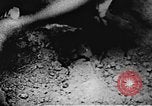 Image of Viet Cong soldiers Vietnam, 1967, second 9 stock footage video 65675043142