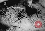 Image of Viet Cong soldiers Vietnam, 1967, second 10 stock footage video 65675043142