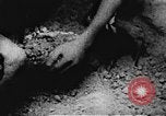 Image of Viet Cong soldiers Vietnam, 1967, second 11 stock footage video 65675043142
