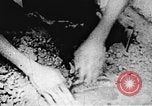 Image of Viet Cong soldiers Vietnam, 1967, second 14 stock footage video 65675043142