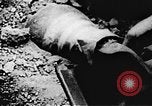 Image of Viet Cong soldiers Vietnam, 1967, second 15 stock footage video 65675043142