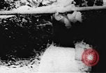 Image of Viet Cong soldiers Vietnam, 1967, second 27 stock footage video 65675043142