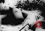 Image of Viet Cong soldiers Vietnam, 1967, second 36 stock footage video 65675043142