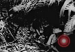 Immagine di Il Viet Cong soldati Il Vietnam, 1967, secondo 7 filmato di repertorio 65675043144