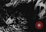 Immagine di Il Viet Cong soldati Il Vietnam, 1967, secondo 9 filmato di repertorio 65675043144