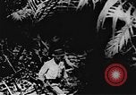 Immagine di Il Viet Cong soldati Il Vietnam, 1967, secondo 10 filmato di repertorio 65675043144
