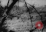 Immagine di Il Viet Cong soldati Il Vietnam, 1967, secondo 13 filmato di repertorio 65675043144