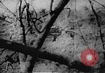 Immagine di Il Viet Cong soldati Il Vietnam, 1967, secondo 14 filmato di repertorio 65675043144