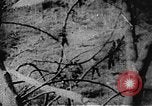 Immagine di Il Viet Cong soldati Il Vietnam, 1967, secondo 16 filmato di repertorio 65675043144