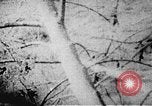 Immagine di Il Viet Cong soldati Il Vietnam, 1967, secondo 17 filmato di repertorio 65675043144