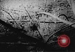 Immagine di Il Viet Cong soldati Il Vietnam, 1967, secondo 19 filmato di repertorio 65675043144