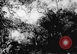Immagine di Il Viet Cong soldati Il Vietnam, 1967, secondo 39 filmato di repertorio 65675043144