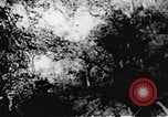 Immagine di Il Viet Cong soldati Il Vietnam, 1967, secondo 42 filmato di repertorio 65675043144