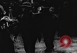 Immagine di Il Viet Cong soldati Il Vietnam, 1967, secondo 14 filmato di repertorio 65675043145