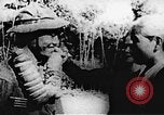 Immagine di Il Viet Cong soldati Il Vietnam, 1967, secondo 44 filmato di repertorio 65675043145