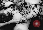 Immagine di Il Viet Cong soldati Il Vietnam, 1967, secondo 58 filmato di repertorio 65675043145