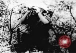 Standbild Viet Cong Soldaten Vietnam, 1967, aus Sekunde 7 historischem Filmmaterial Videoclip 65675043147
