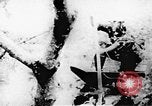 Standbild Viet Cong Soldaten Vietnam, 1967, aus Sekunde 21 historischem Filmmaterial Videoclip 65675043147