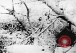 Standbild Viet Cong Soldaten Vietnam, 1967, aus Sekunde 26 historischem Filmmaterial Videoclip 65675043147