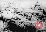 Standbild Viet Cong Soldaten Vietnam, 1967, aus Sekunde 32 historischem Filmmaterial Videoclip 65675043147