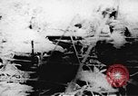 Standbild Viet Cong Soldaten Vietnam, 1967, aus Sekunde 33 historischem Filmmaterial Videoclip 65675043147
